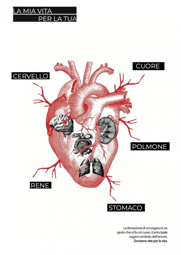 Il Palizzi al Convegno "Vite per la vita, donazione e trapianti"