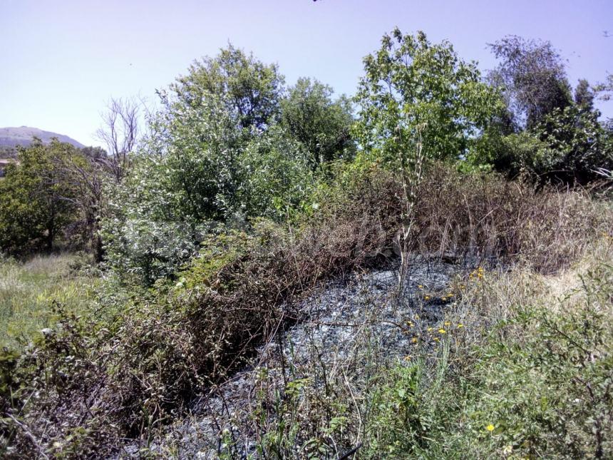 Incendio a Celenza, domato dalla Protezione civile: “Era a ridosso del bosco di Caccavone”