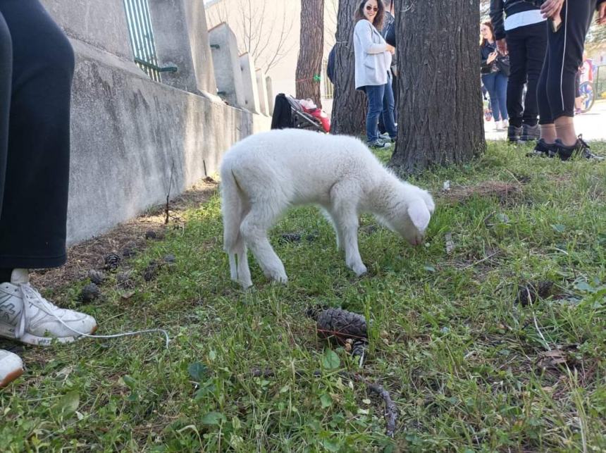 Fine anno scolastico a Vasto, la dirigente Delle Donne: “Tante attività connesse al territorio”