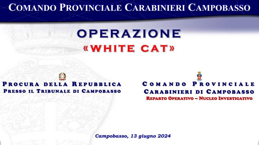 Operazione White Cat