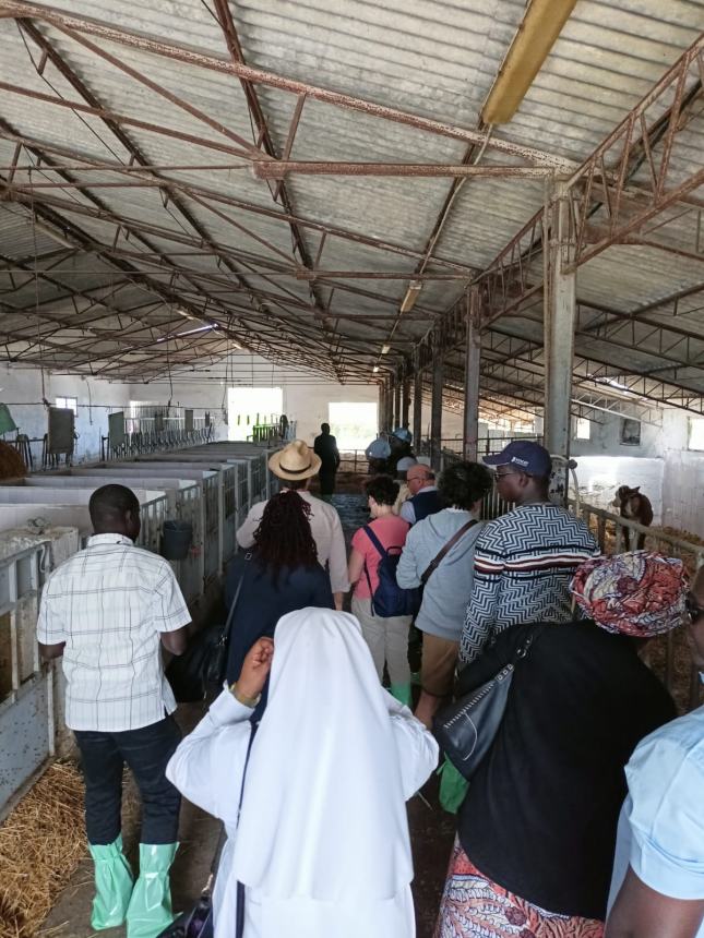 «Per una chiesa più sinodale», la visita della Caritas del Senegal in diocesi