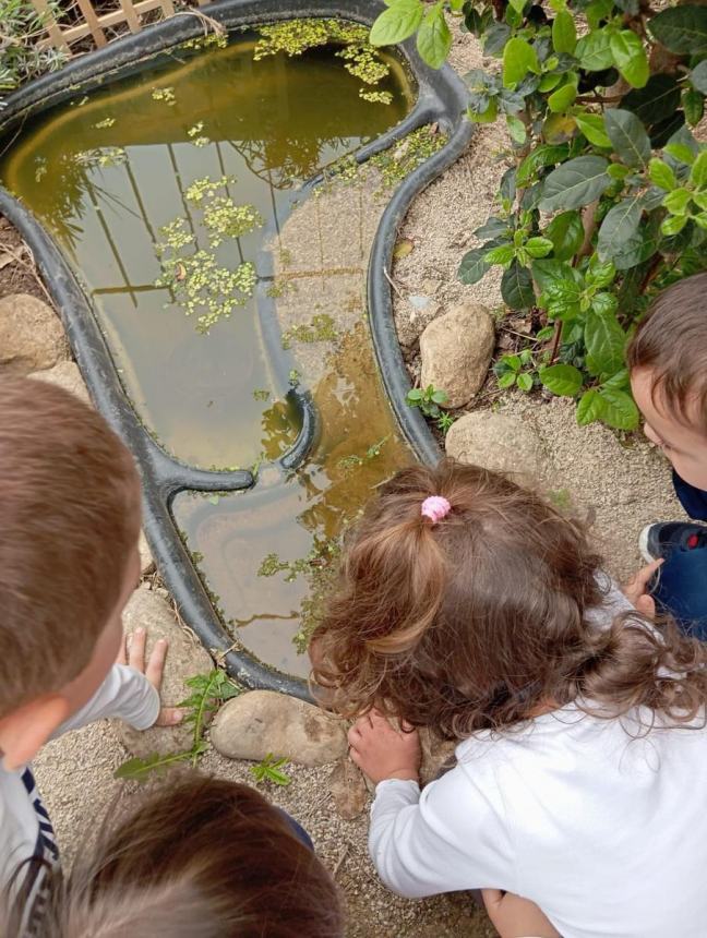 Fine anno scolastico a Vasto, la dirigente Delle Donne: “Tante attività connesse al territorio”