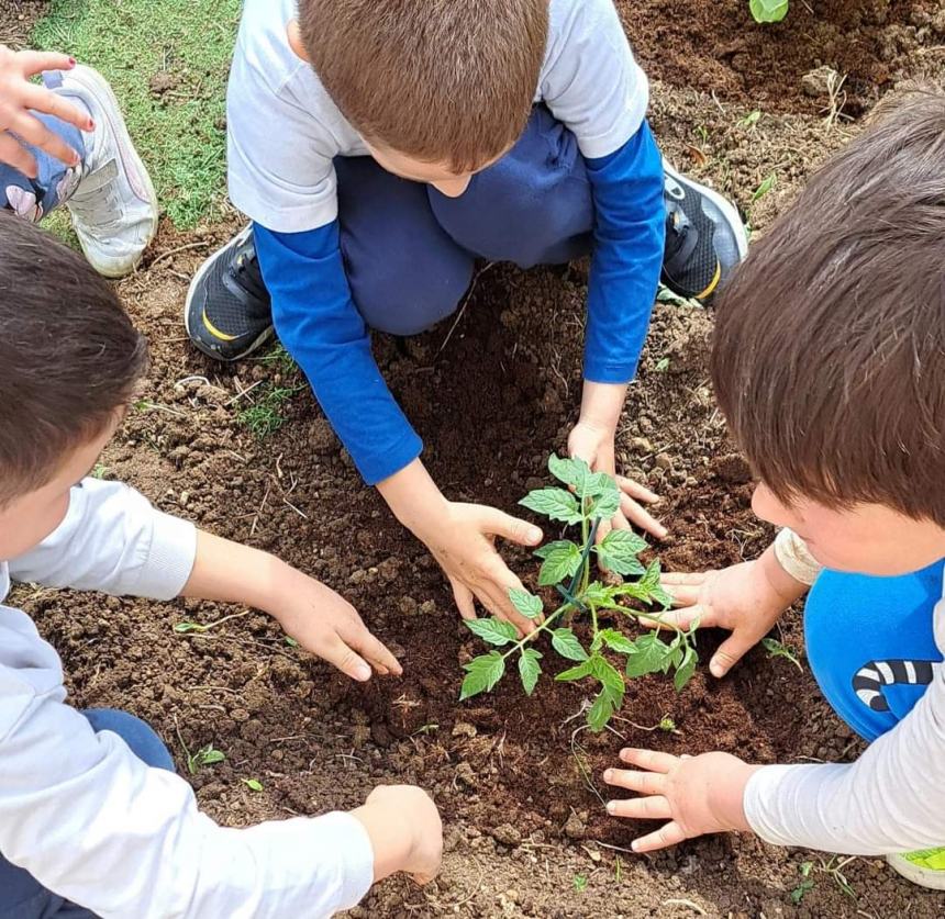 Fine anno scolastico a Vasto, la dirigente Delle Donne: “Tante attività connesse al territorio”