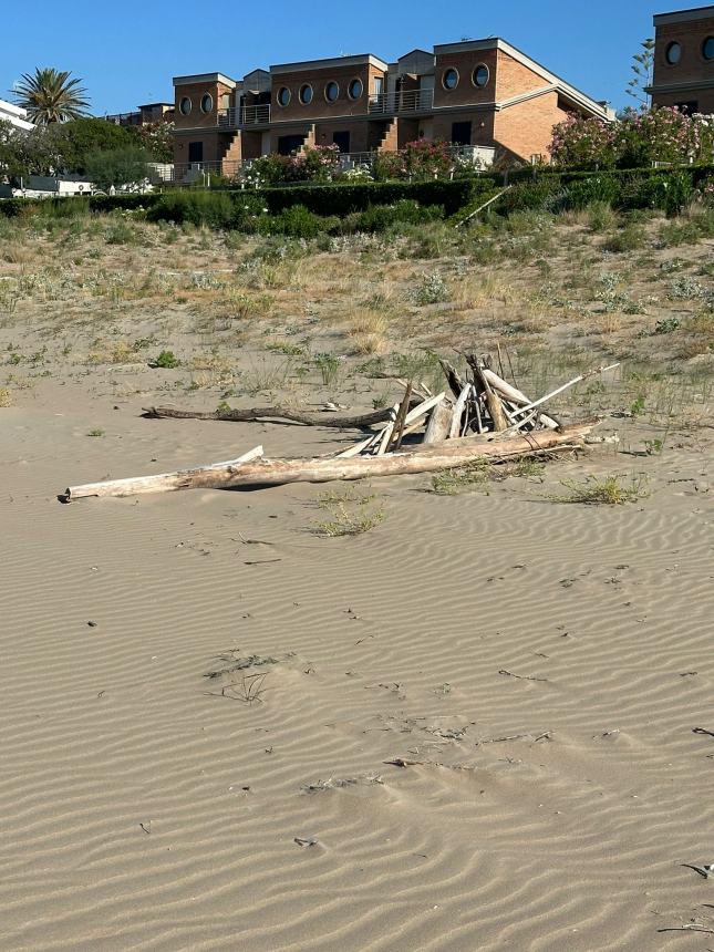 Spiaggia del lungomare Nord