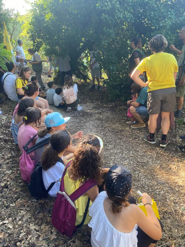 Tour "Amici alberi" al parco comunale: il regno della biodiversità 