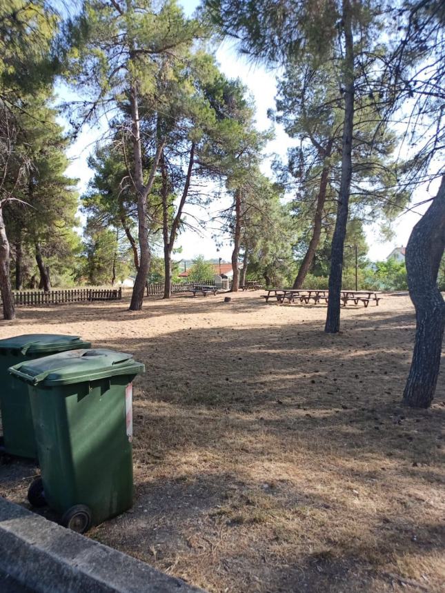 Decoro aree verdi: ecco le regole da seguire a Scerni