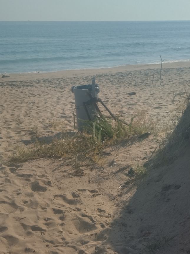 Tronchi sulla spiaggia del lungomare Nord