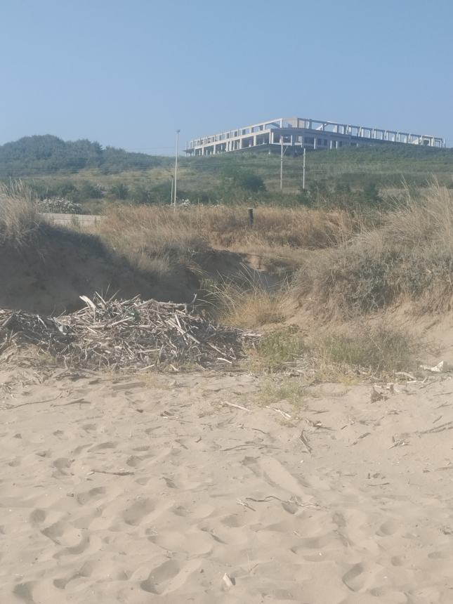 Tronchi sulla spiaggia del lungomare Nord