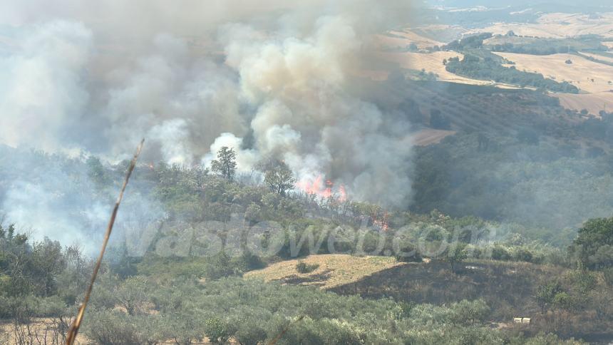 Domato il rogo tra Monteodorisio e Cupello, si lavora sugli ultimi focolai