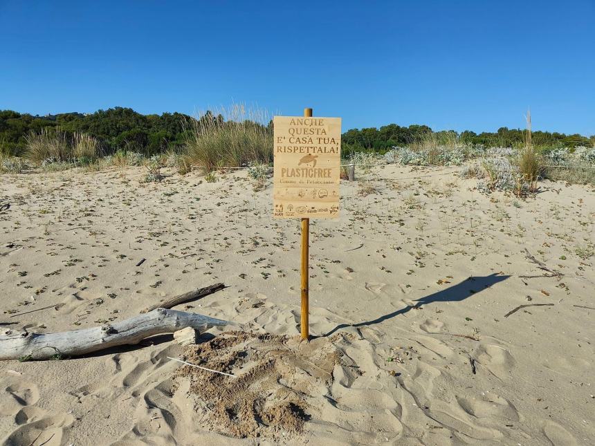 “Anche questa è casa tua”, la nuova iniziativa Plastic Free