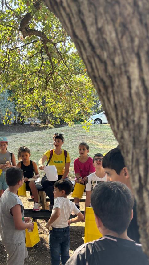 Tour "Amici alberi" al parco comunale: il regno della biodiversità 