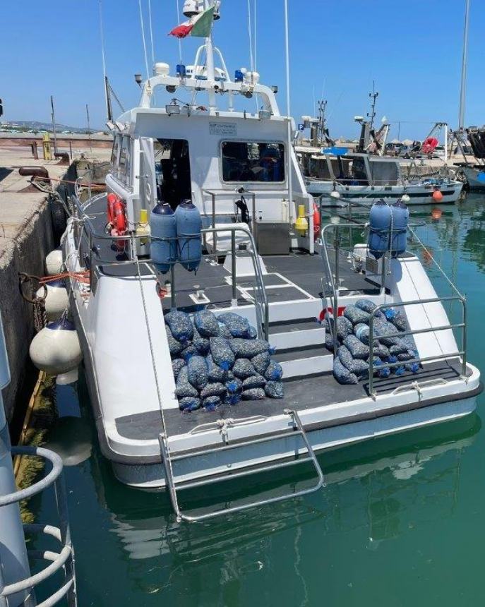 Operazione Mistral sulla filiera ittica: 800 chili di pesce sequestrati e sanzioni salate