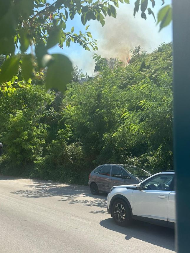 Incendio sul costone ferroviario a Rio Vivo