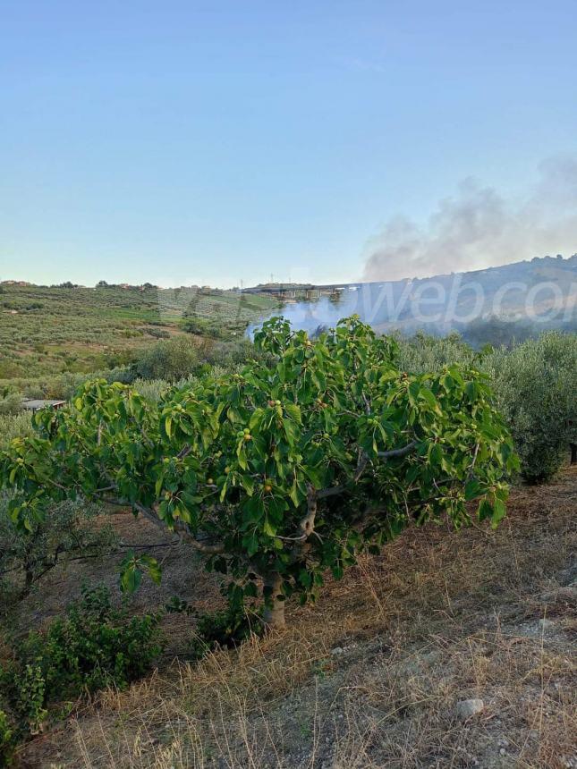 Incendio a Montevecchio, i vigili del fuoco domano le fiamme