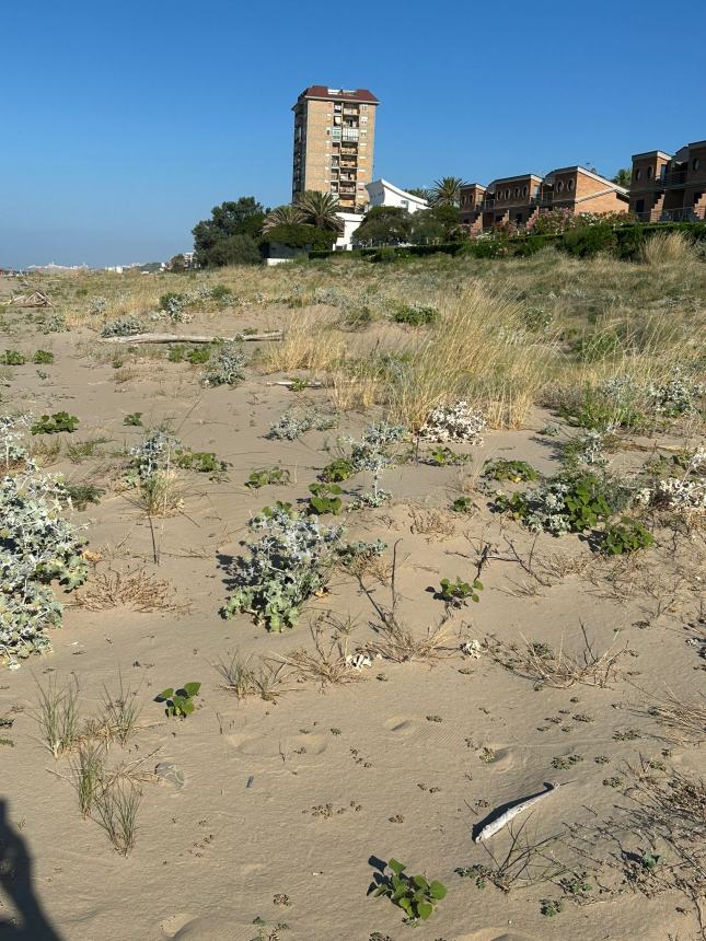 Spiaggia del lungomare Nord