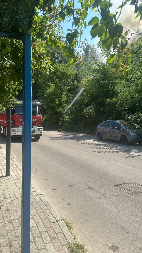 Incendio sul costone ferroviario a Rio Vivo