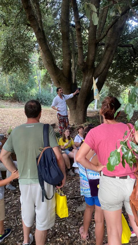 Tour "Amici alberi" al parco comunale: il regno della biodiversità 