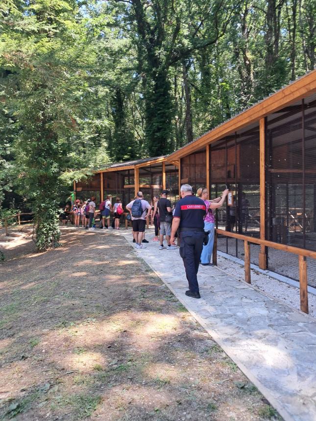 Campus estivo alla scoperta della Biodiversità