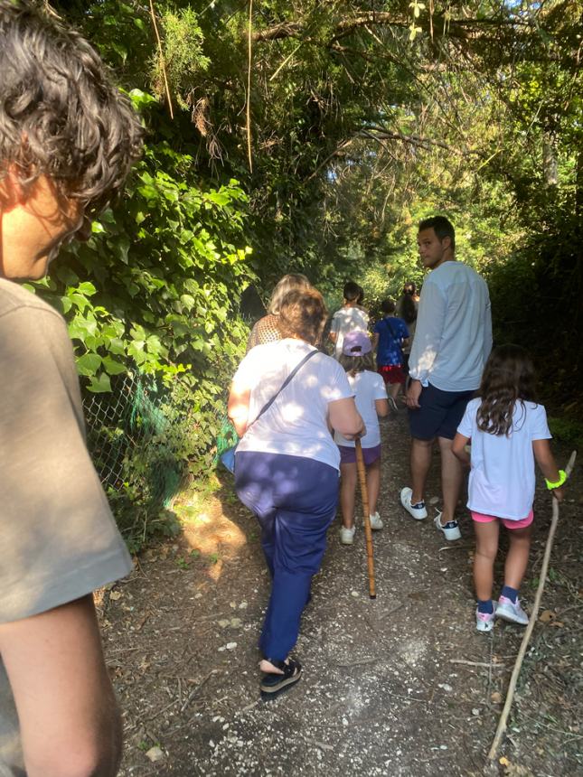 Tour "Amici alberi" al parco comunale: il regno della biodiversità 