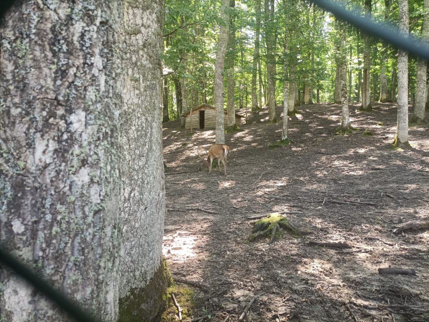 Campus estivo alla scoperta della Biodiversità