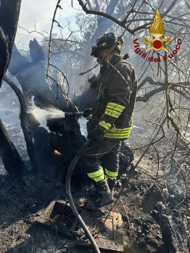 Vigili del fuoco di Agnone e Isernia a Taranto