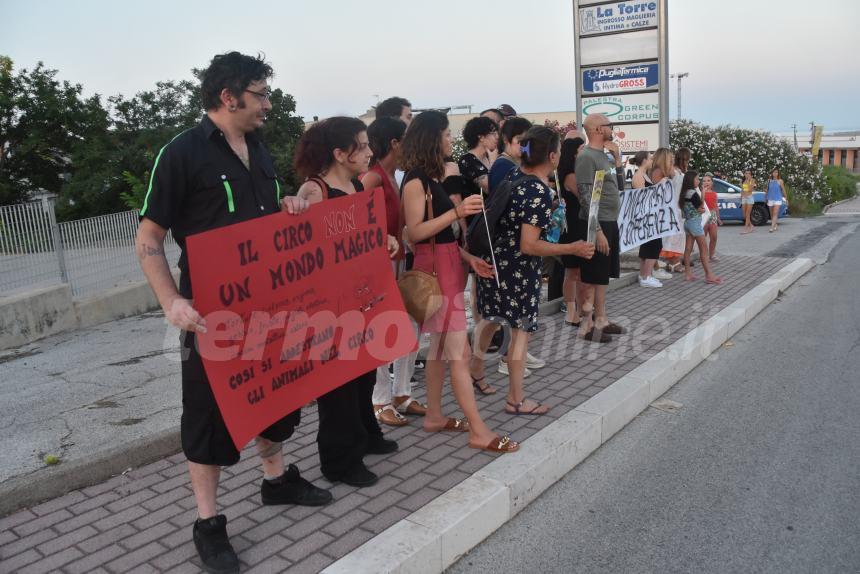 «No al circo con gli animali»: il presidio di protesta