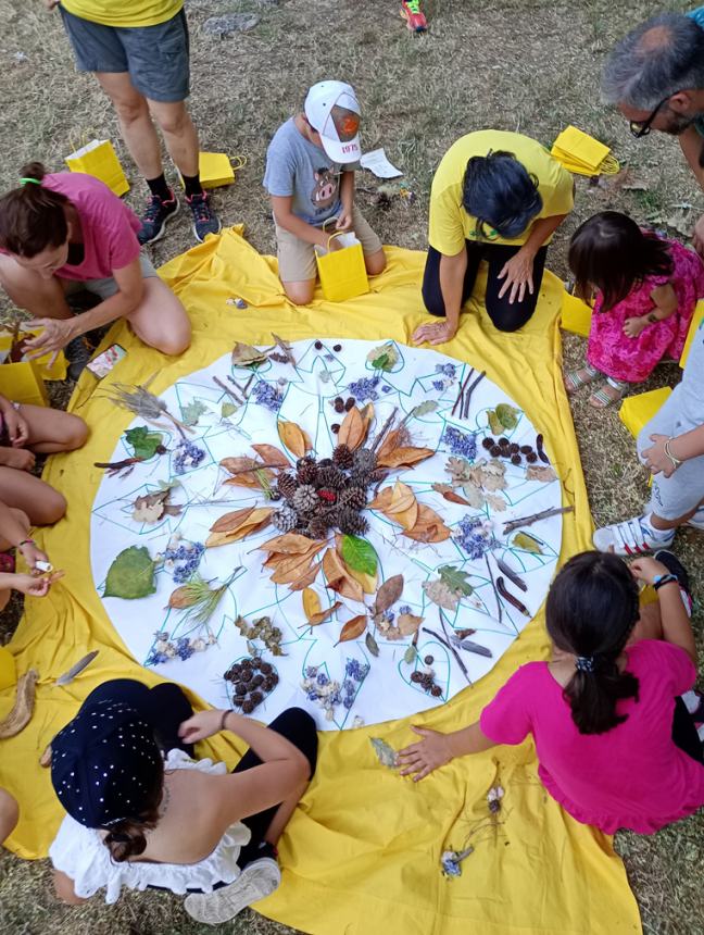 Tour "Amici alberi" al parco comunale: il regno della biodiversità 