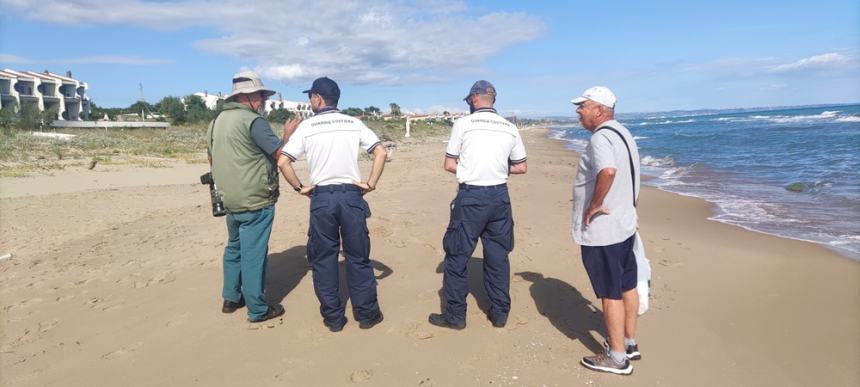 "Il regno del fratino": prosegue il monitoraggio dei nidi sulla costa