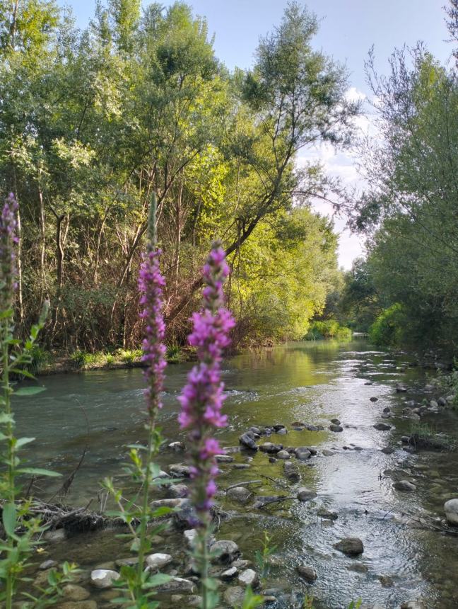 “Dai Calanchi al Biferno”: alla scoperta della Rete Natura 2000