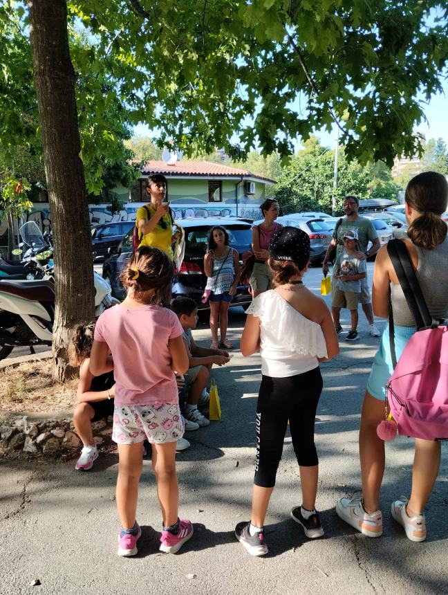 Tour "Amici alberi" al parco comunale: il regno della biodiversità 