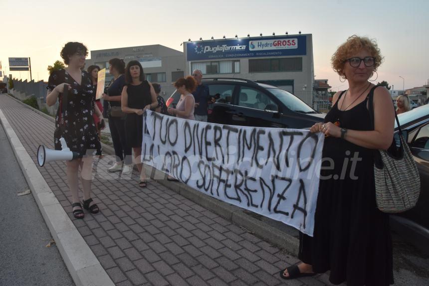 «No al circo con gli animali»: il presidio di protesta