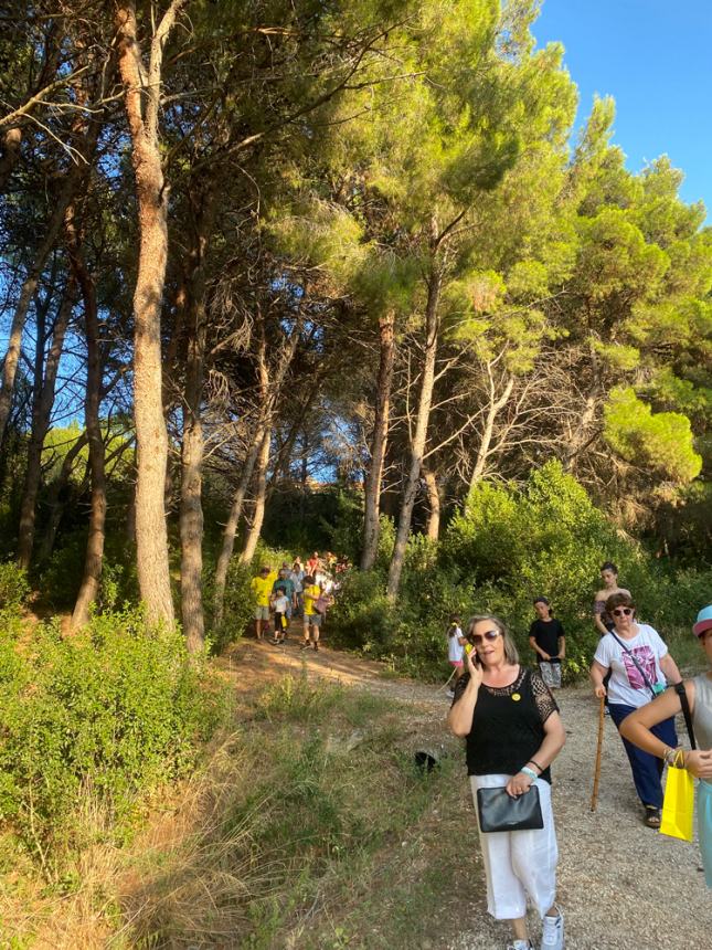 Tour "Amici alberi" al parco comunale: il regno della biodiversità 