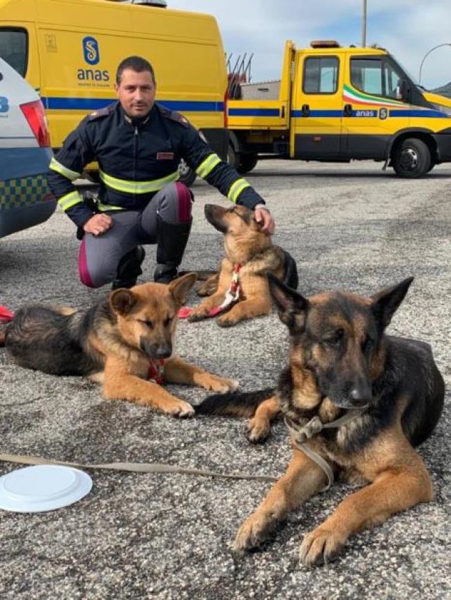 #senontiportononparto: la Polizia contro l'abbandono degli animali