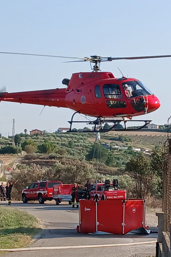 Rogo domato tra Monteodorisio e Cupello, intervenuti anche volontari di Casalbordino