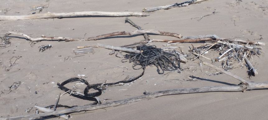 La spiaggia del litorale Nord