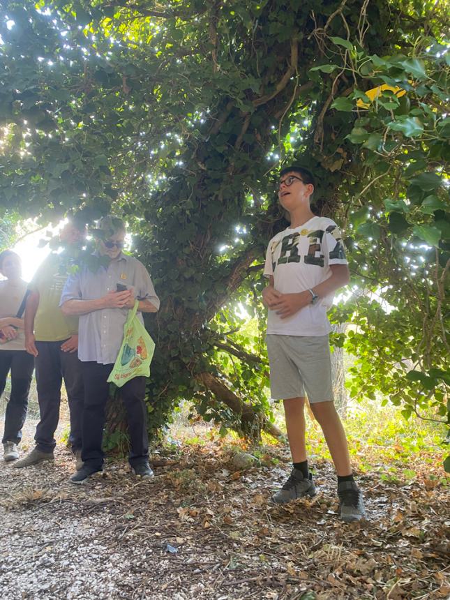 Tour "Amici alberi" al parco comunale: il regno della biodiversità 