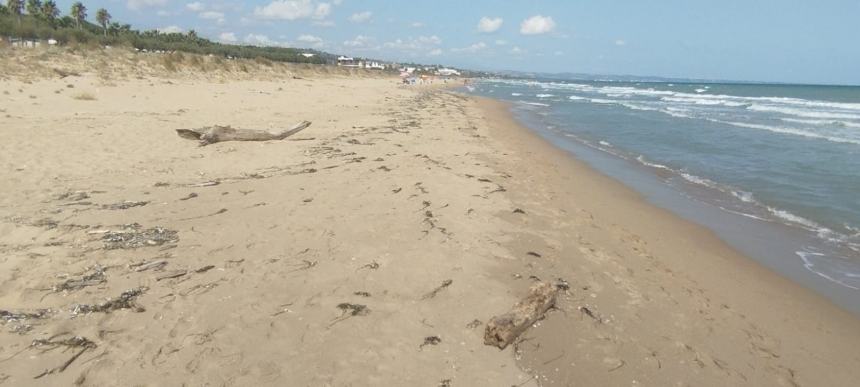 La spiaggia del litorale Nord