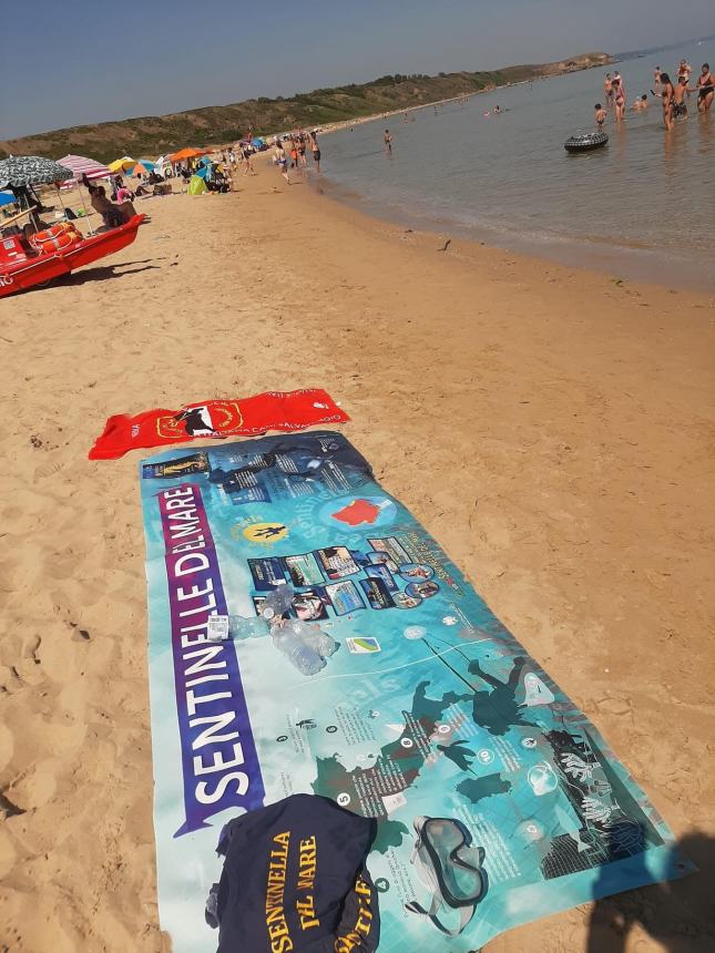 “Sentinelle del Mare”, i cani salvataggio protagonisti a Punta Penna con una simulazione