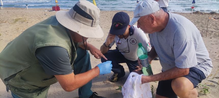 "Il regno del fratino": prosegue il monitoraggio dei nidi sulla costa