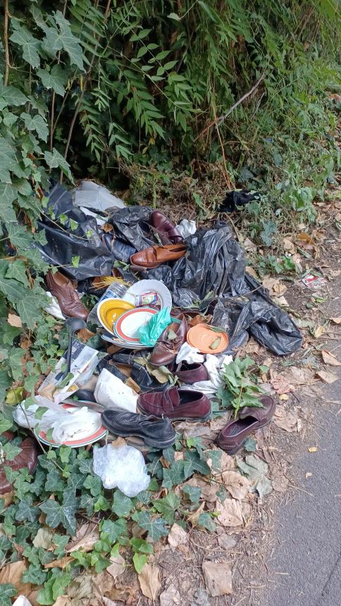 “Mare di rifiuti in via Parco Muro delle Lame, persino piatti e scarpe vecchie”