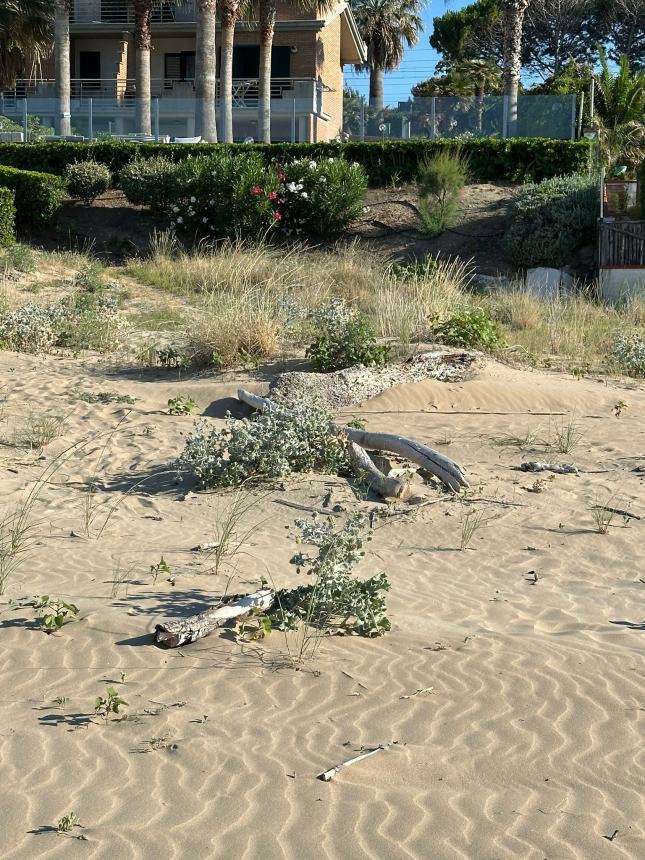 Spiaggia del lungomare Nord