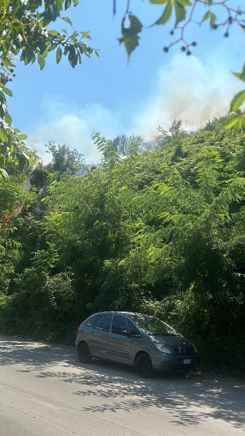 Incendio sul costone ferroviario a Rio Vivo