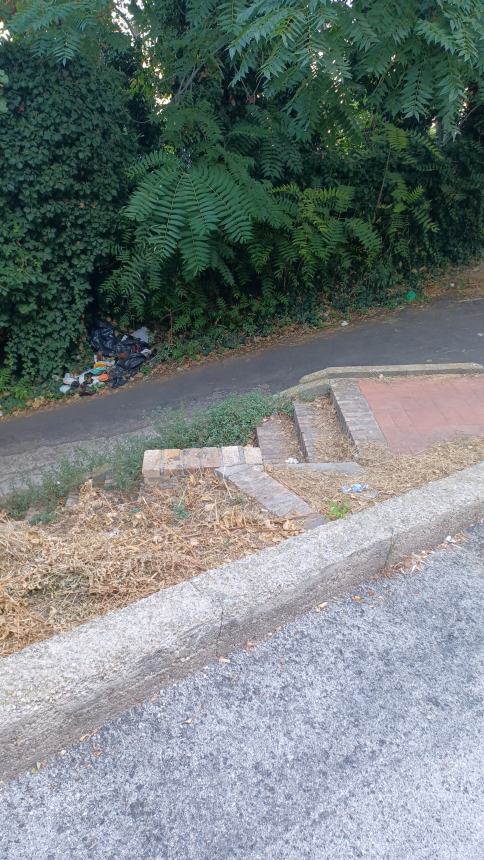 “Mare di rifiuti in via Parco Muro delle Lame, persino piatti e scarpe vecchie”