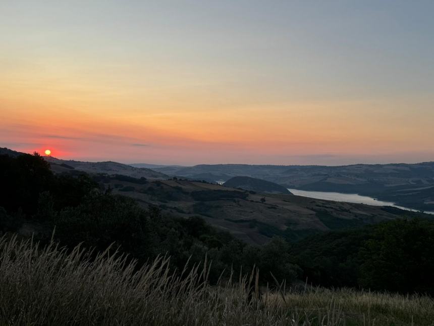 L'alba di un percorso: l'olivo Fausto al centro di un progetto di ricerca