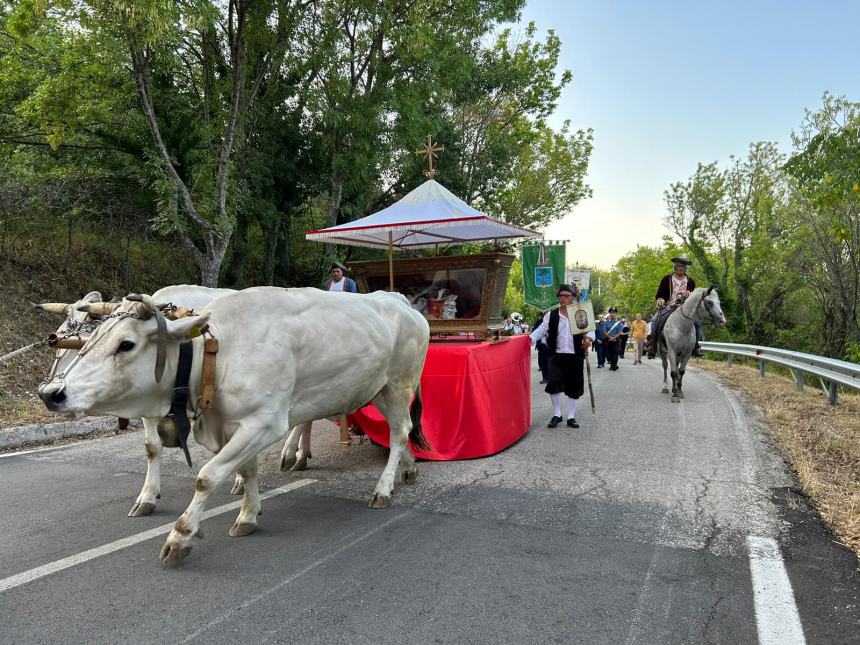 Palmoli in festa per S. Valentino: rinnovata la trebbiatura e la rievocazione delle sacre spoglie