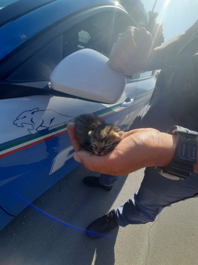 #senontiportononparto: la Polizia contro l'abbandono degli animali