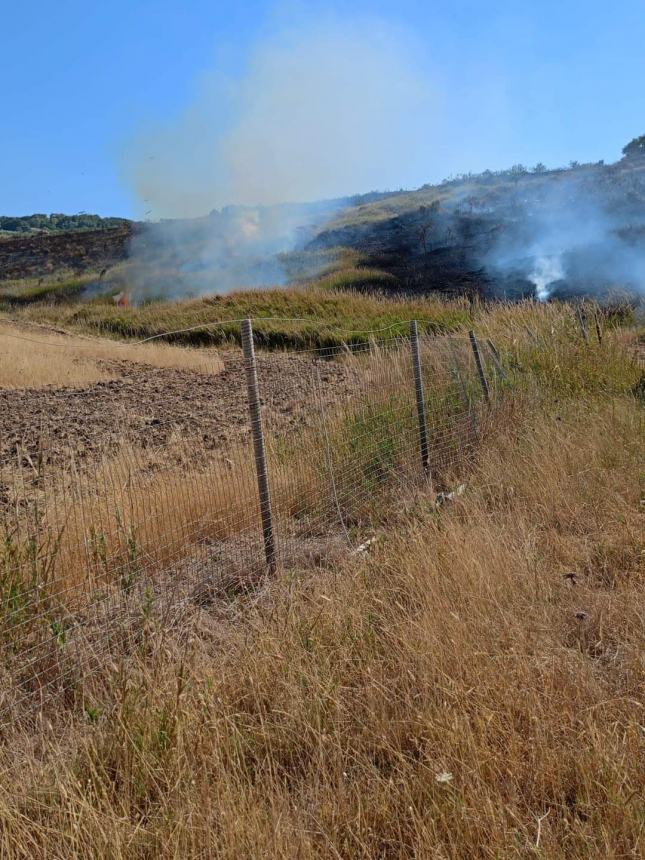 Incendio a Lentella, nel pomeriggio nuova bonifica