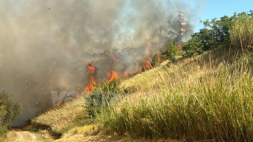 Domato il rogo tra Monteodorisio e Cupello, si lavora sugli ultimi focolai