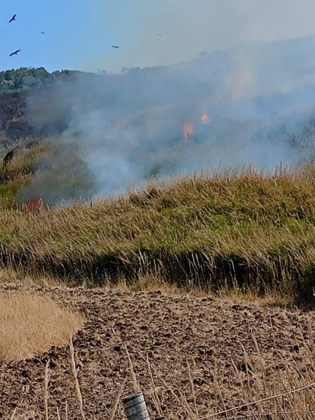 Incendio a Lentella, nel pomeriggio nuova bonifica