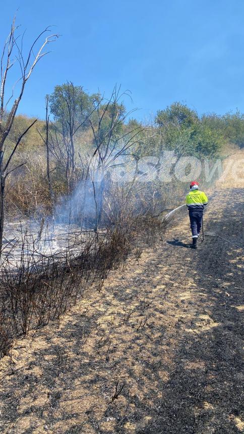 Rogo tra scerni e Casalbordino in Contrada San Michele